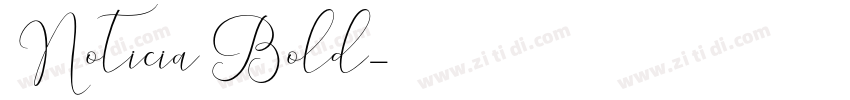 Noticia Bold字体转换
